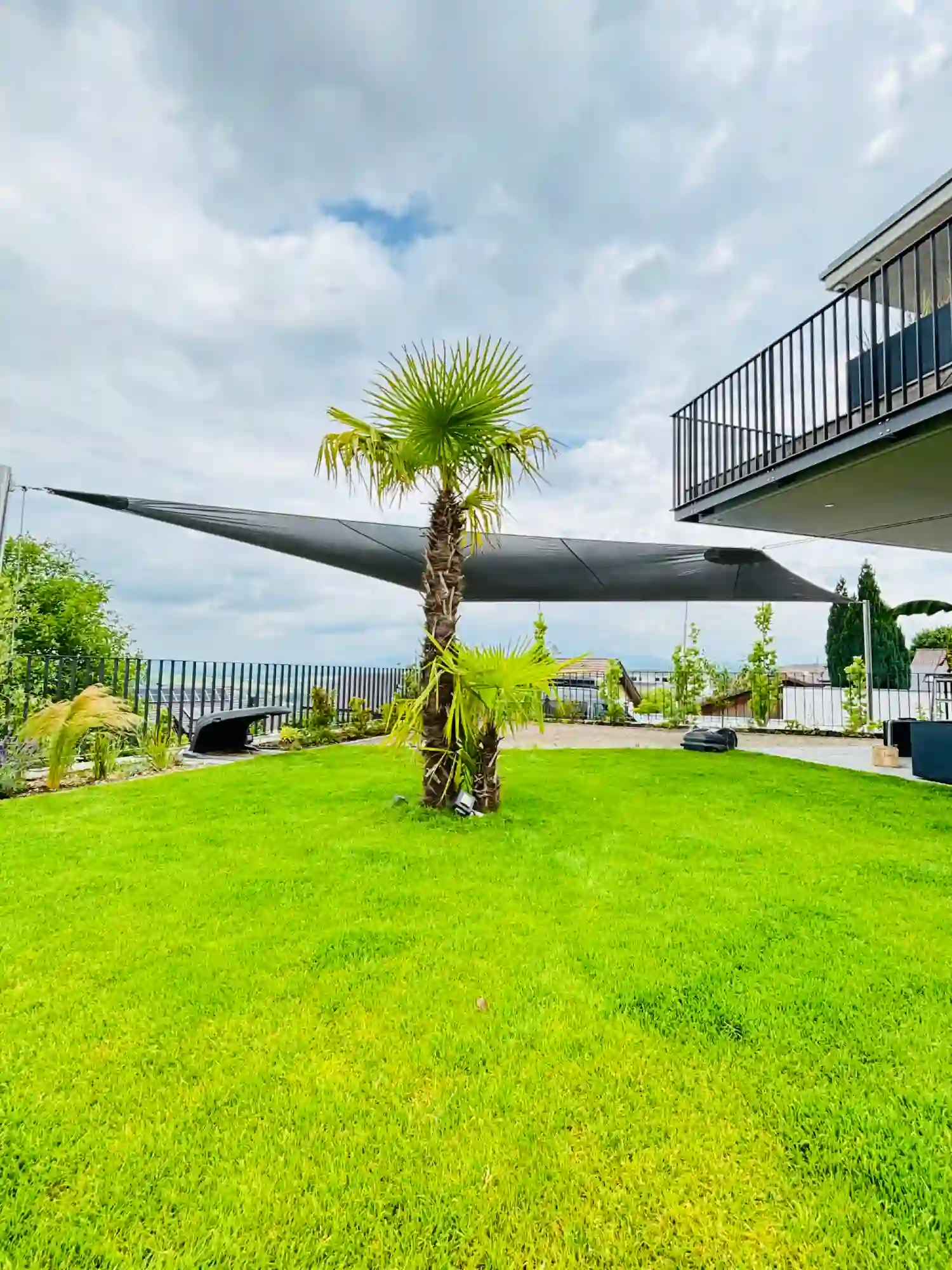 Grüner Garten mit Palme und Sonnensegel